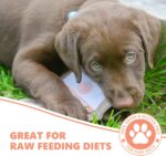 Pets Purest Natural Dog Treats - 100% Pure Raw Air-Dried Chicken Nibbles Dog Chews for Dogs & Puppy. A Healthy Grain, Gluten & Lactose Free Tasty Food Snack Training Treat - 100g