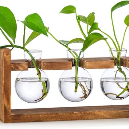 Propagation Station 3 Pcs Bulb Vase Glass Sweet Pea Vase for Flowers Terrarium Jar Planter with Wooden Rack Stand Holders for Green Water Plants Fit for Home Kitchen Table Desk Indoor Decor