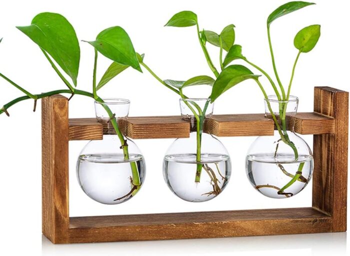 Propagation Station 3 Pcs Bulb Vase Glass Sweet Pea Vase for Flowers Terrarium Jar Planter with Wooden Rack Stand Holders for Green Water Plants Fit for Home Kitchen Table Desk Indoor Decor